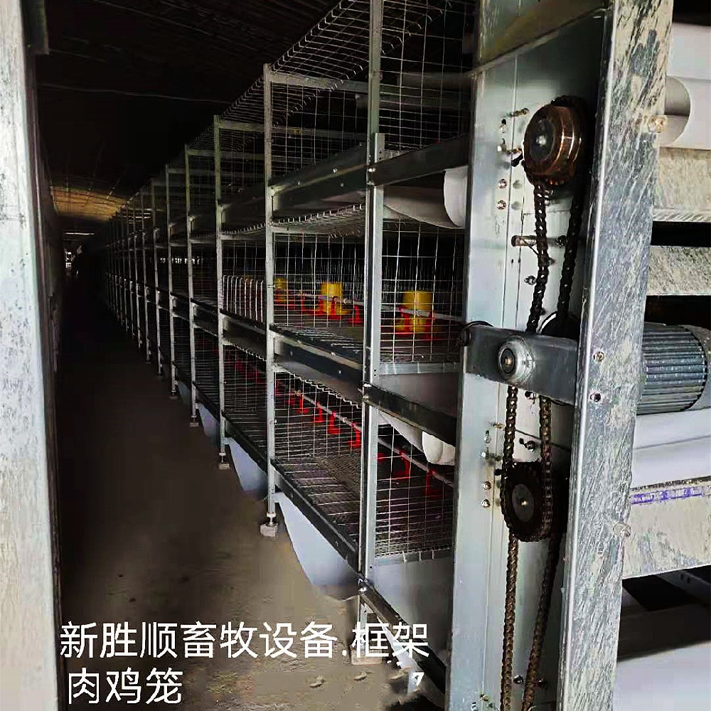肉鸡笼